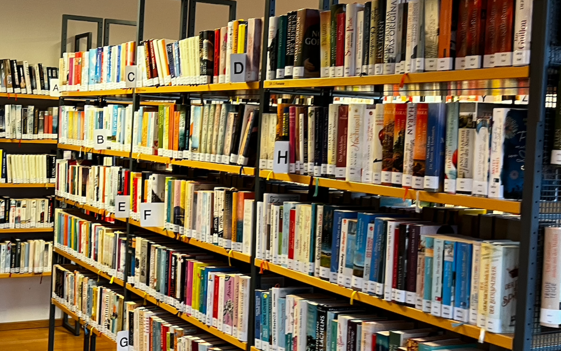 Krimis, Thillers: Bücher in Bücherregalen